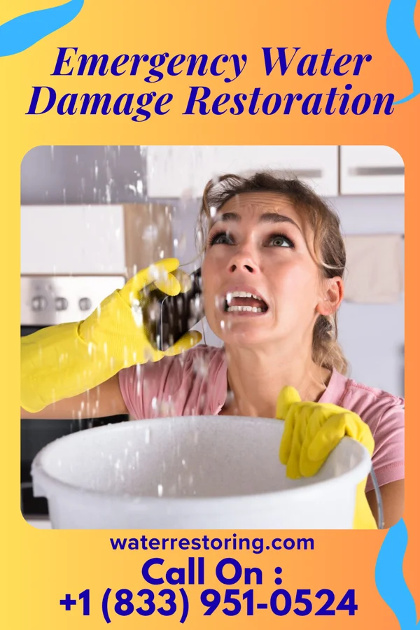 Emergency Water Damage Restoration in Enterprise, MS