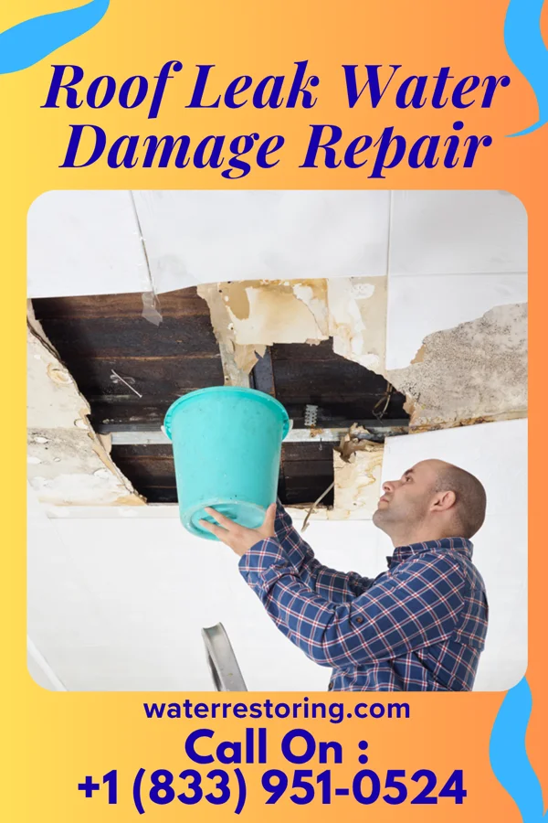Roof Leak Water Damage Repair in Enterprise, MS