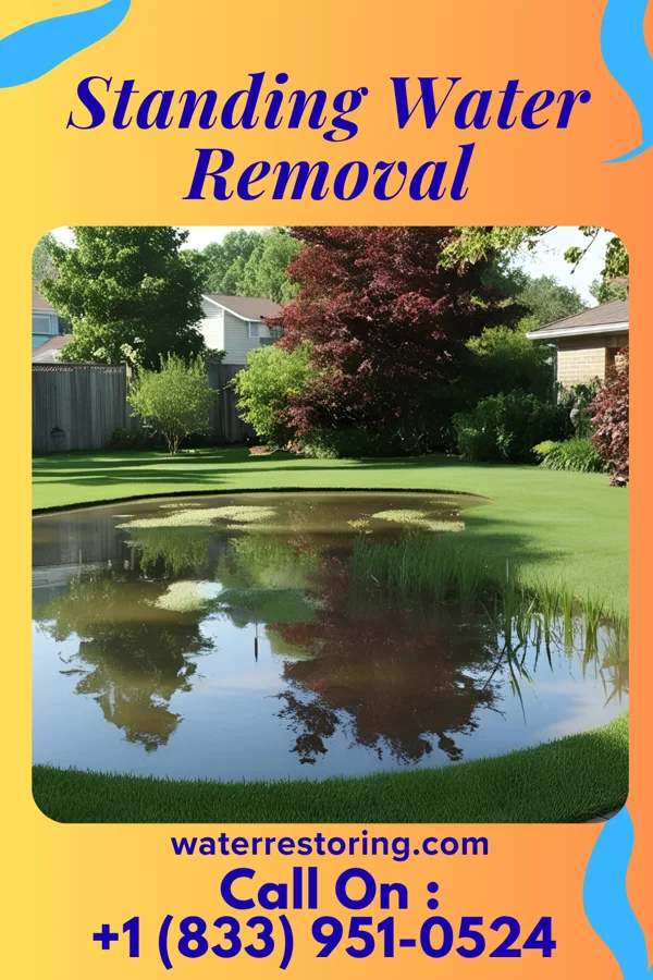 Standing Water Removal in Enterprise, MS